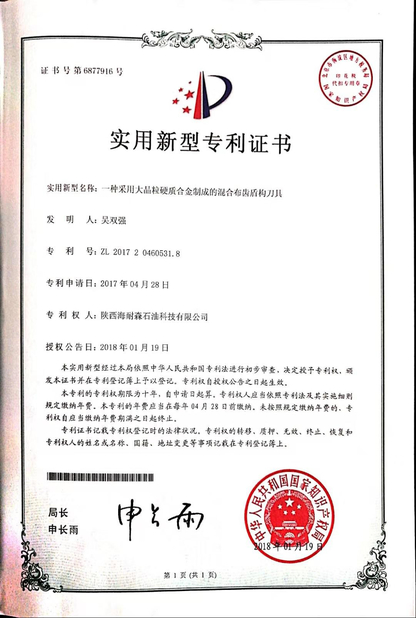 China Shaanxi Hainaisen Petroleum Technology Co.,Ltd Certificaciones