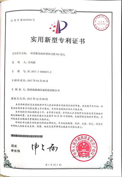 China Shaanxi Hainaisen Petroleum Technology Co.,Ltd certificaciones